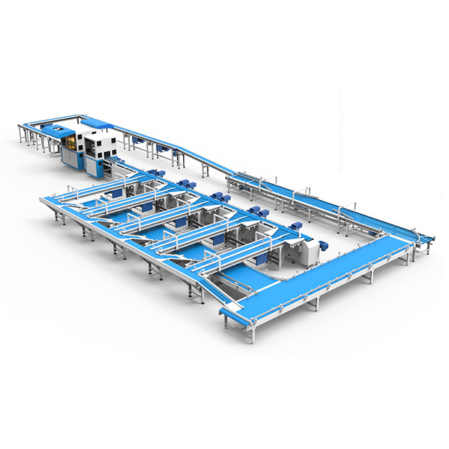自由果托式水果分选系统 | 大型果