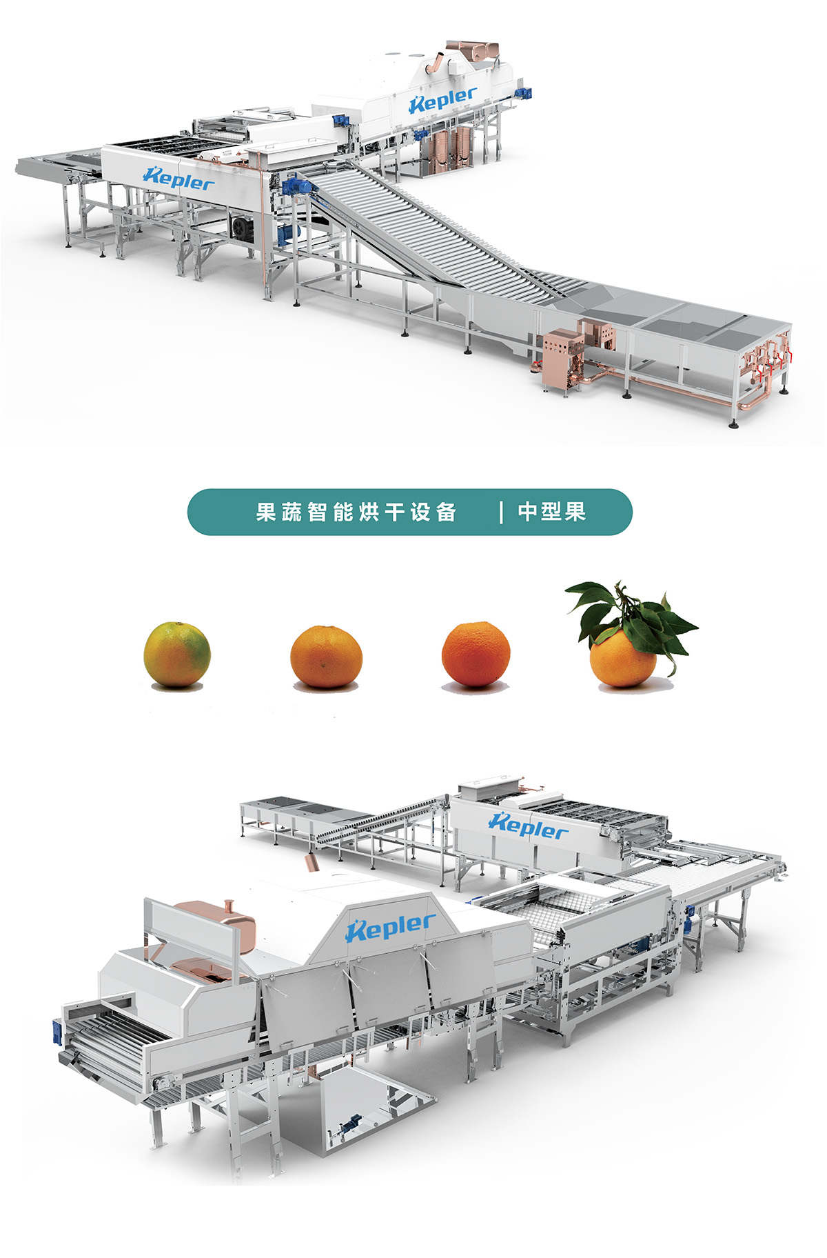 果蔬智能烘干设备-中型果-3