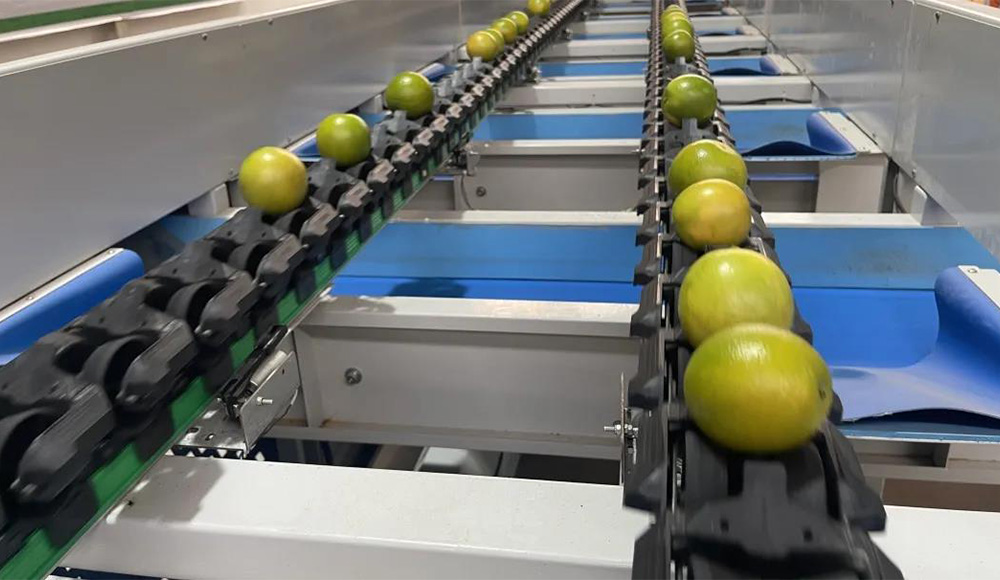 双通道滚轮果托输送