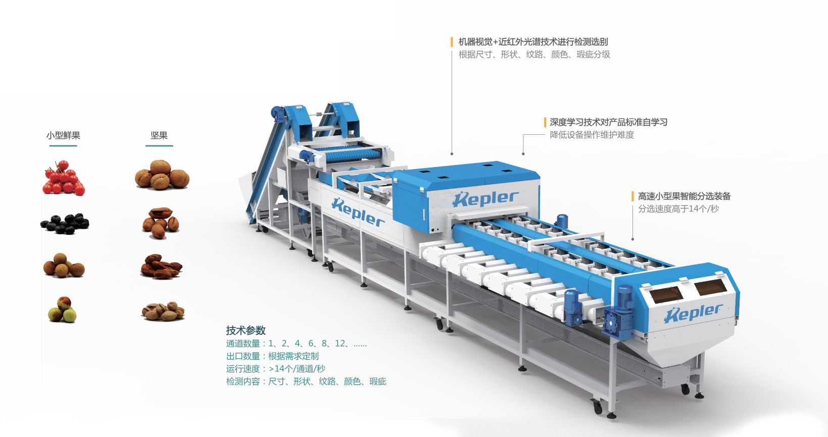 滚轮果托式果品光电智能分选系统-