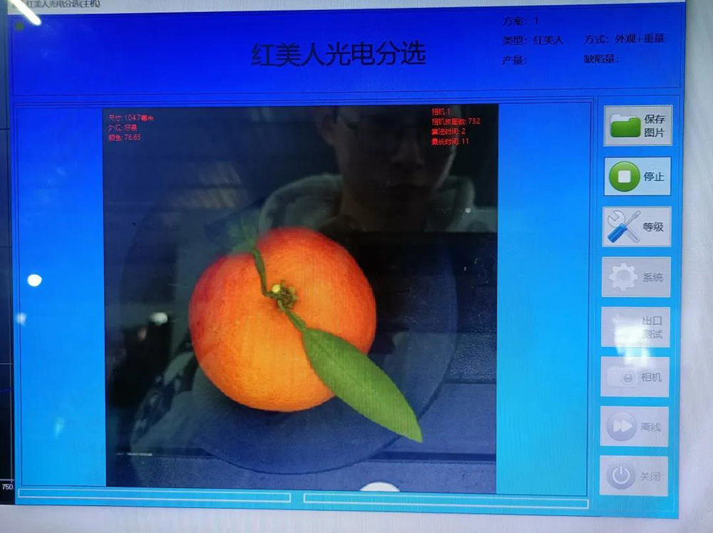 红美人光电分选