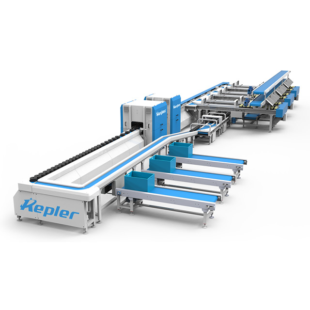 自由果托式水果分选系统 | 中型果